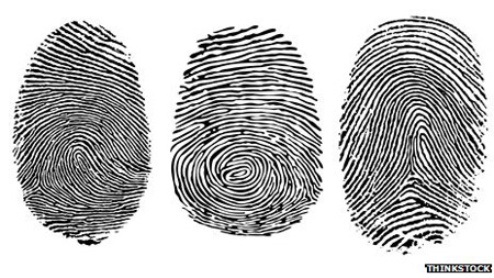 Fingerprint Black and White Patterns