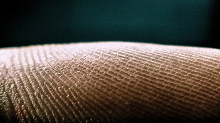 Fingerprint Close Up of Detail and Texture