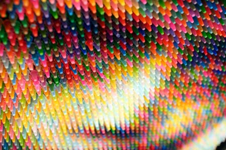 Colorful Crayon Modern Art Portraits Christian Faur