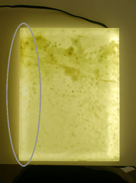 Infuse Flat LED Light Panel Continuous Even Light